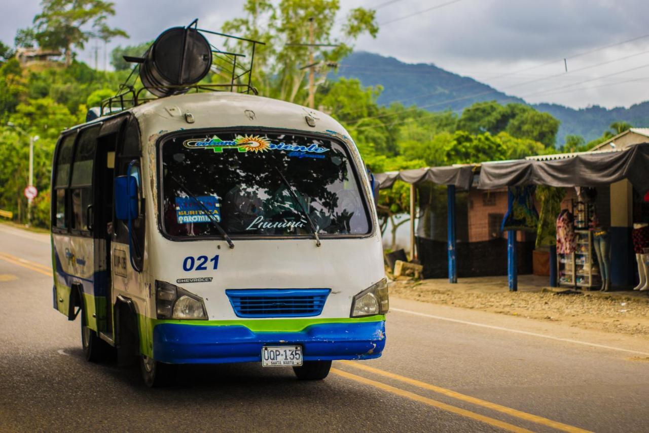 Puerto Caribe Hostal Guachaca Zewnętrze zdjęcie